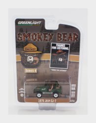 Greenlight 38070C