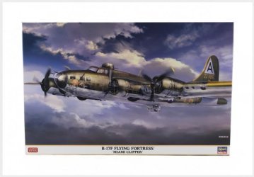 Hasegawa 02462