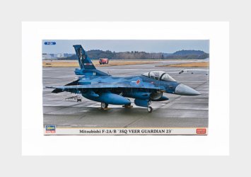Hasegawa 02463