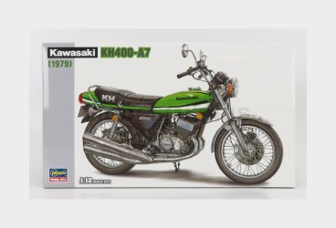 Hasegawa 21506