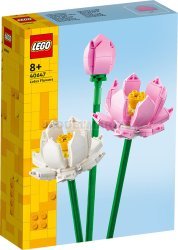 Lego 40647