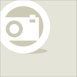 Weiss Brothers SW2042W